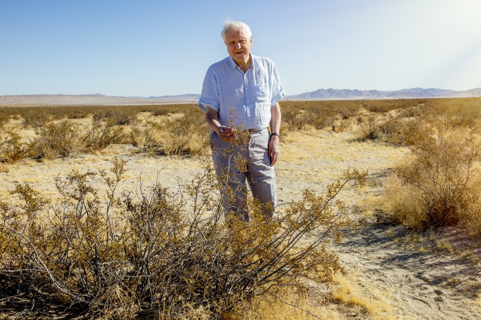 United Nations names David Attenborough Champion of the Earth