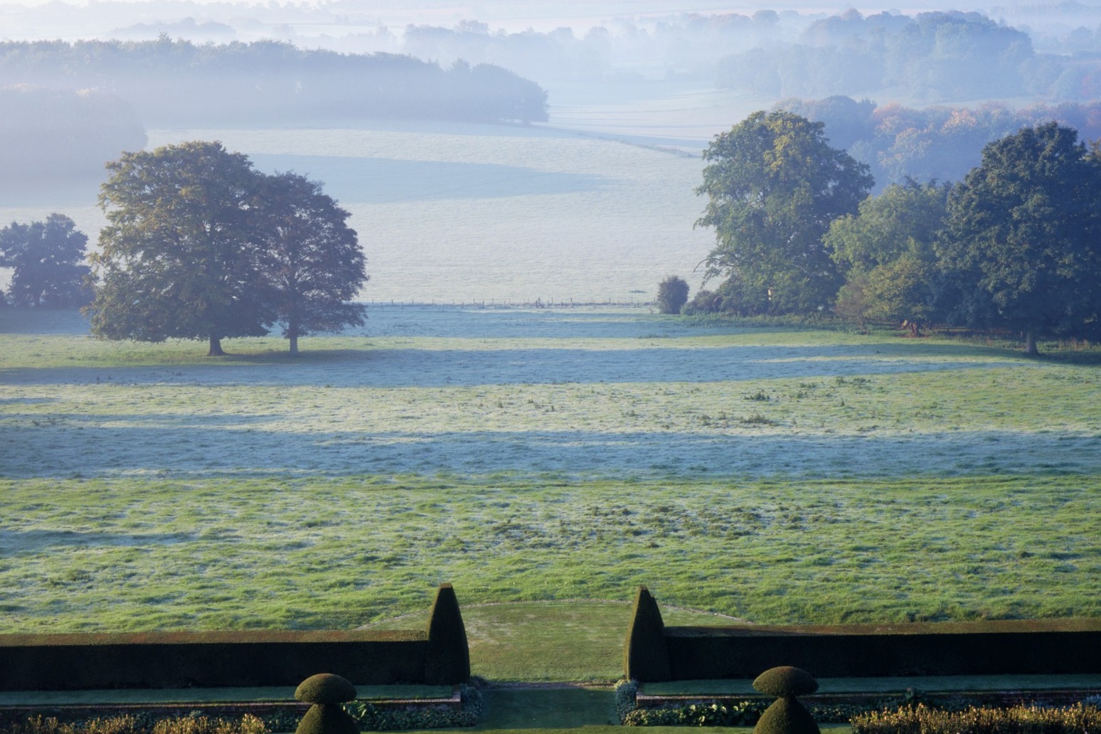 National Trust unveils plans to restore tree lined avenues at stately homes