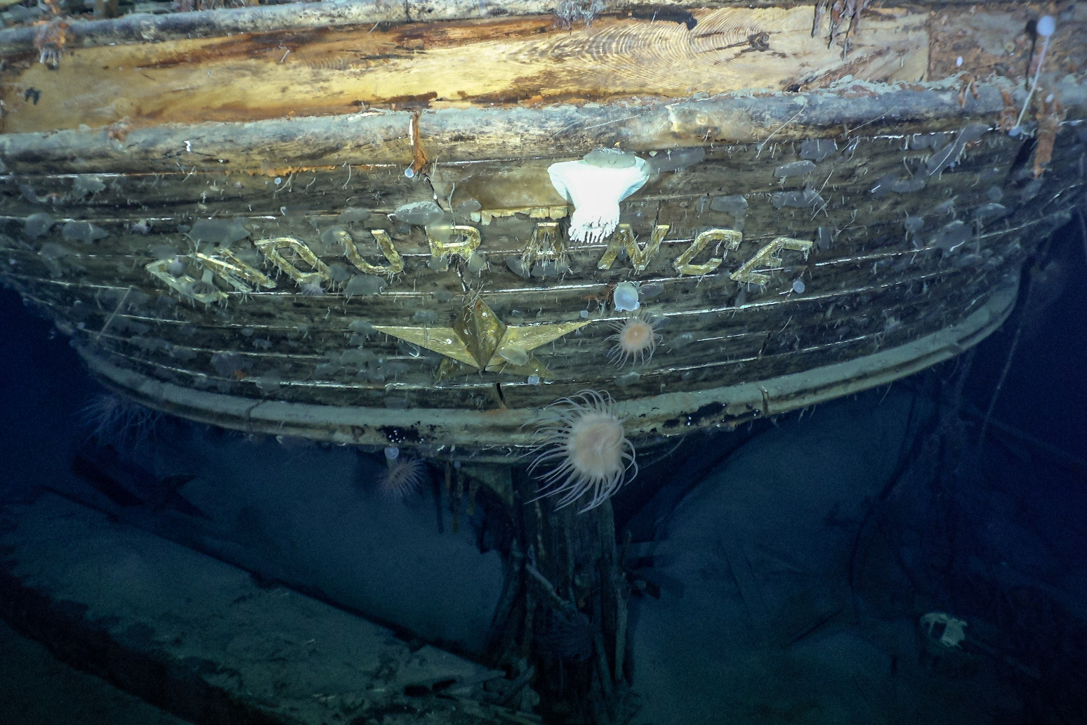 Shackletons lost ship Endurance found 107 years after sinking off Antarctica
