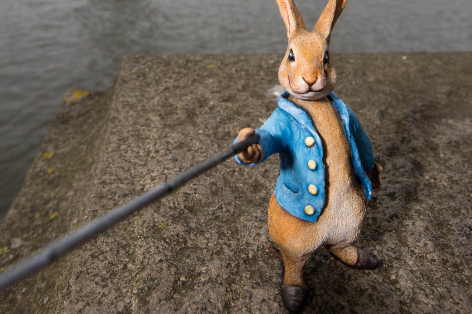 Beatrix Potters Peter Rabbit inspires garden initiative marking anniversary