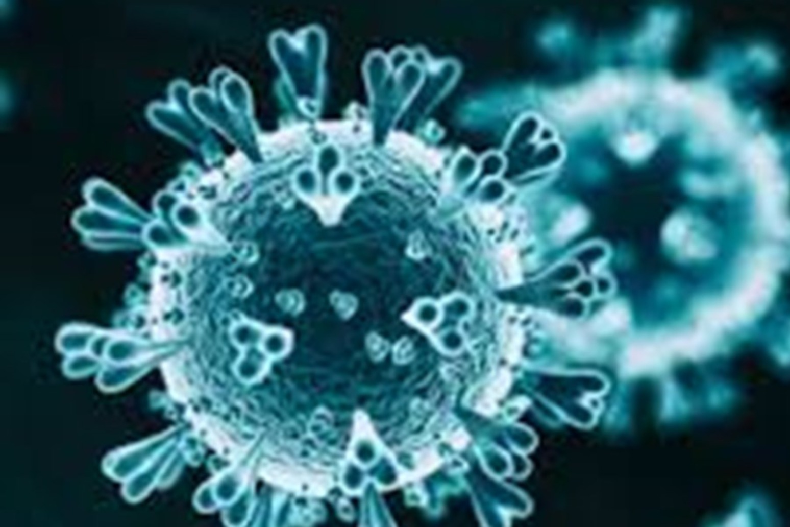 Coronavirus   Latest figures