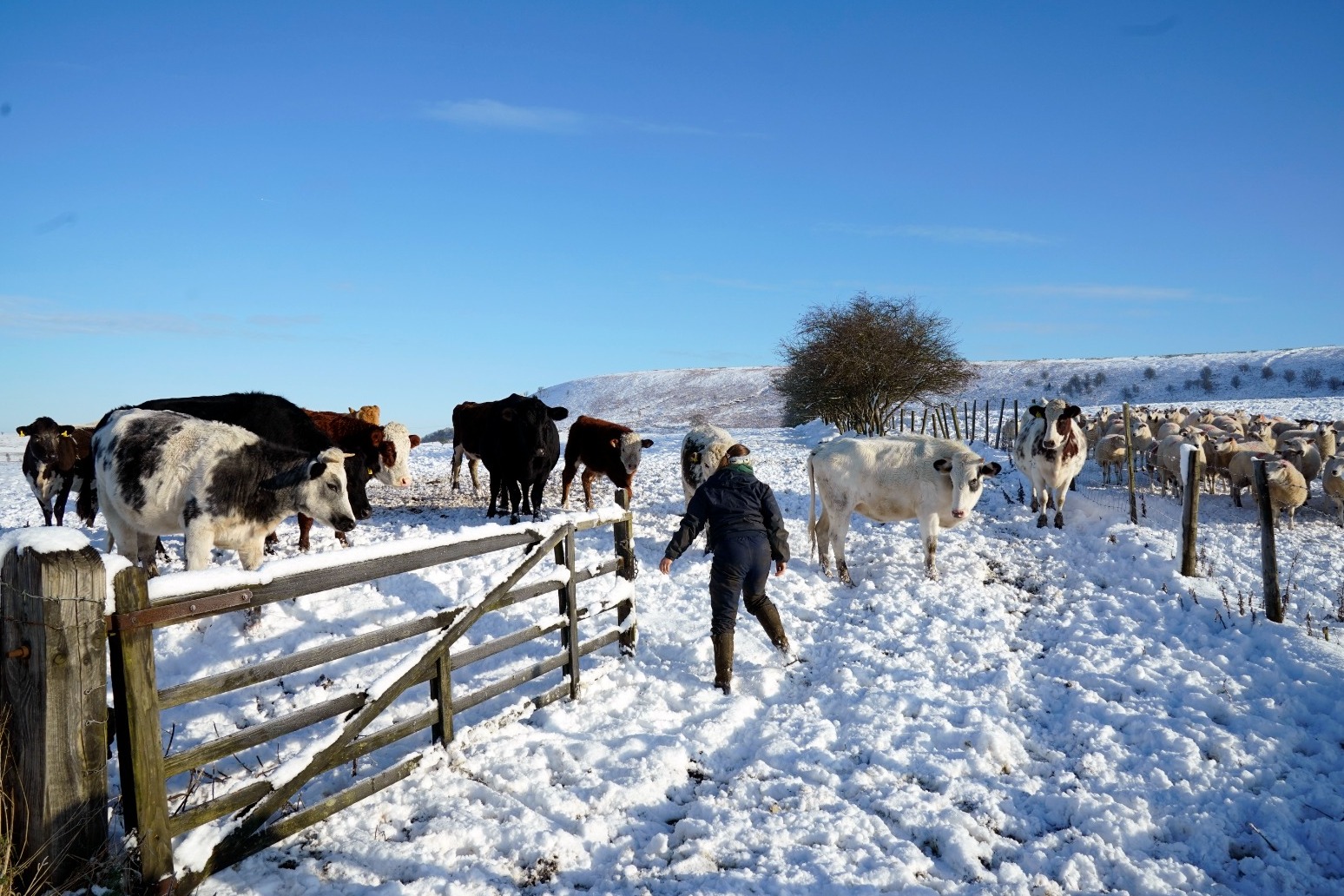 Warning of ‘very treacherous’ conditions as thawed snow refreezes 