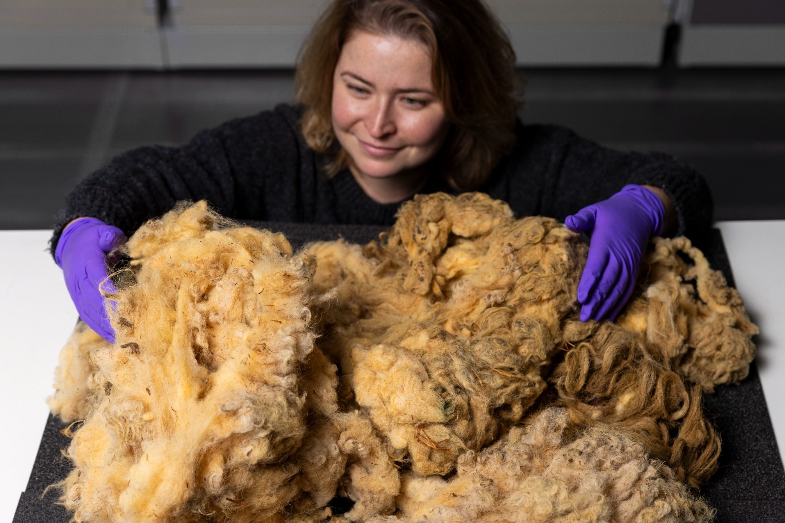 Dolly the sheep’s fleece donated for display at national museum 