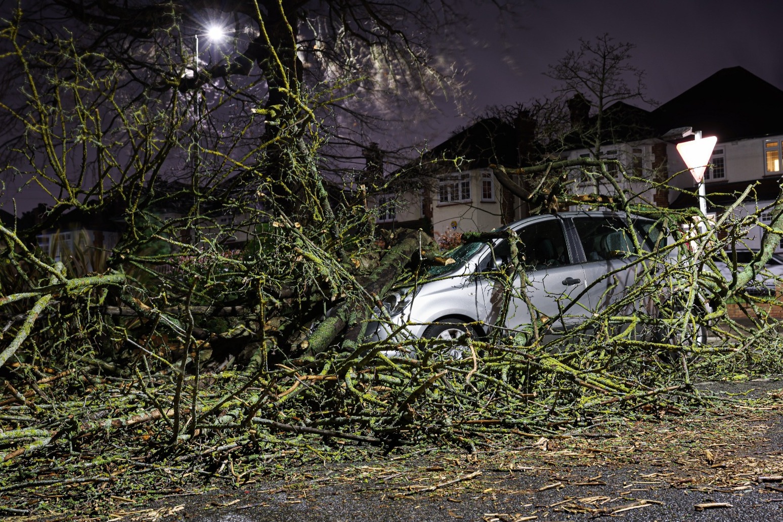 Woman hurt by falling tree as 94mph winds hit UK 