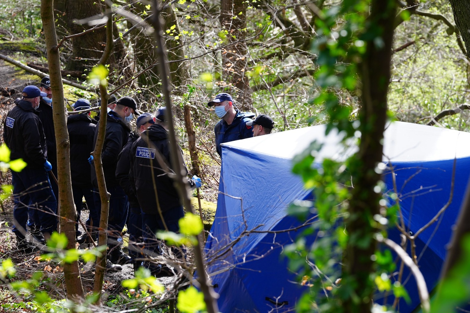 Human torso found in woodland was a man 