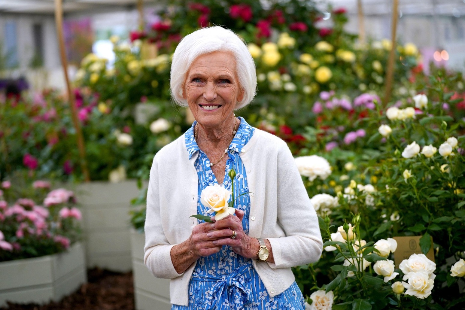 Dame Mary Berry says Bafta Fellowship is ‘the icing on the cake’ 