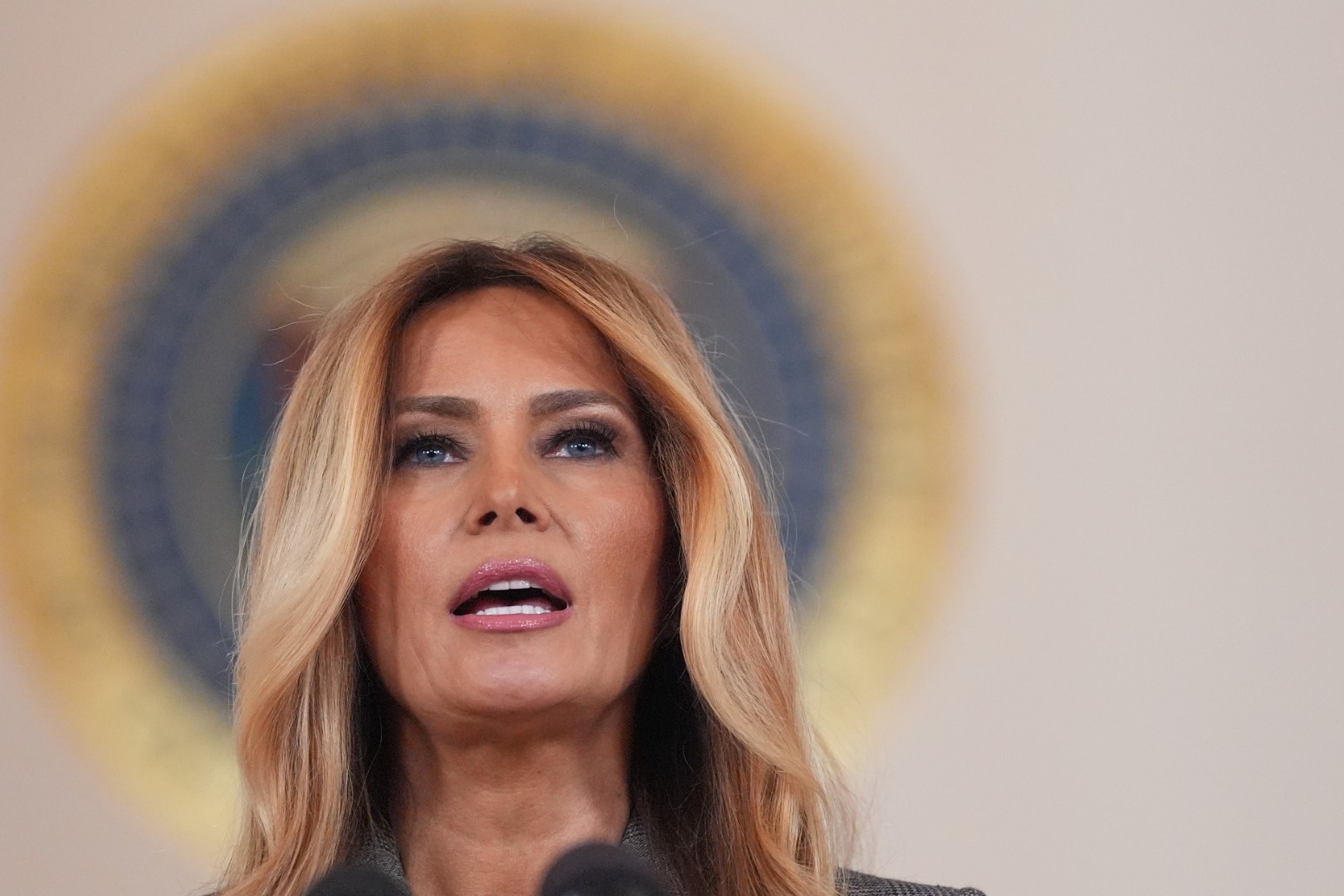 Melania Trump denies ‘false’ Jeffrey Epstein smears in public statement