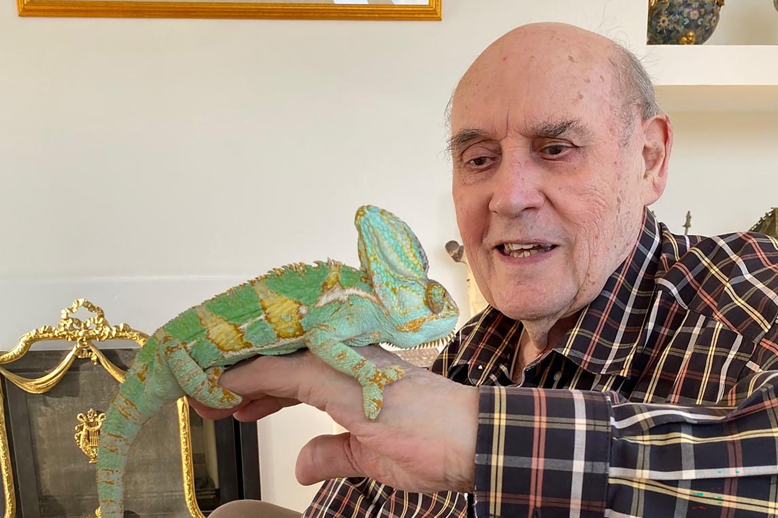 Desmond Morris remembered for ‘lifetime of curiosity and creativity’