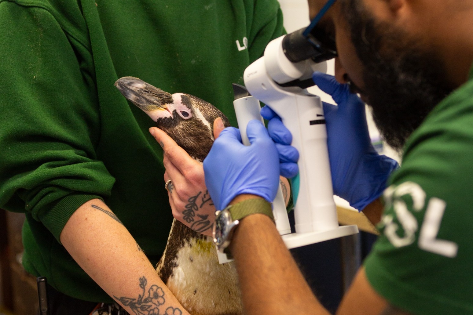 Public able to view vets in action at ZSL’s planned wildlife health centre