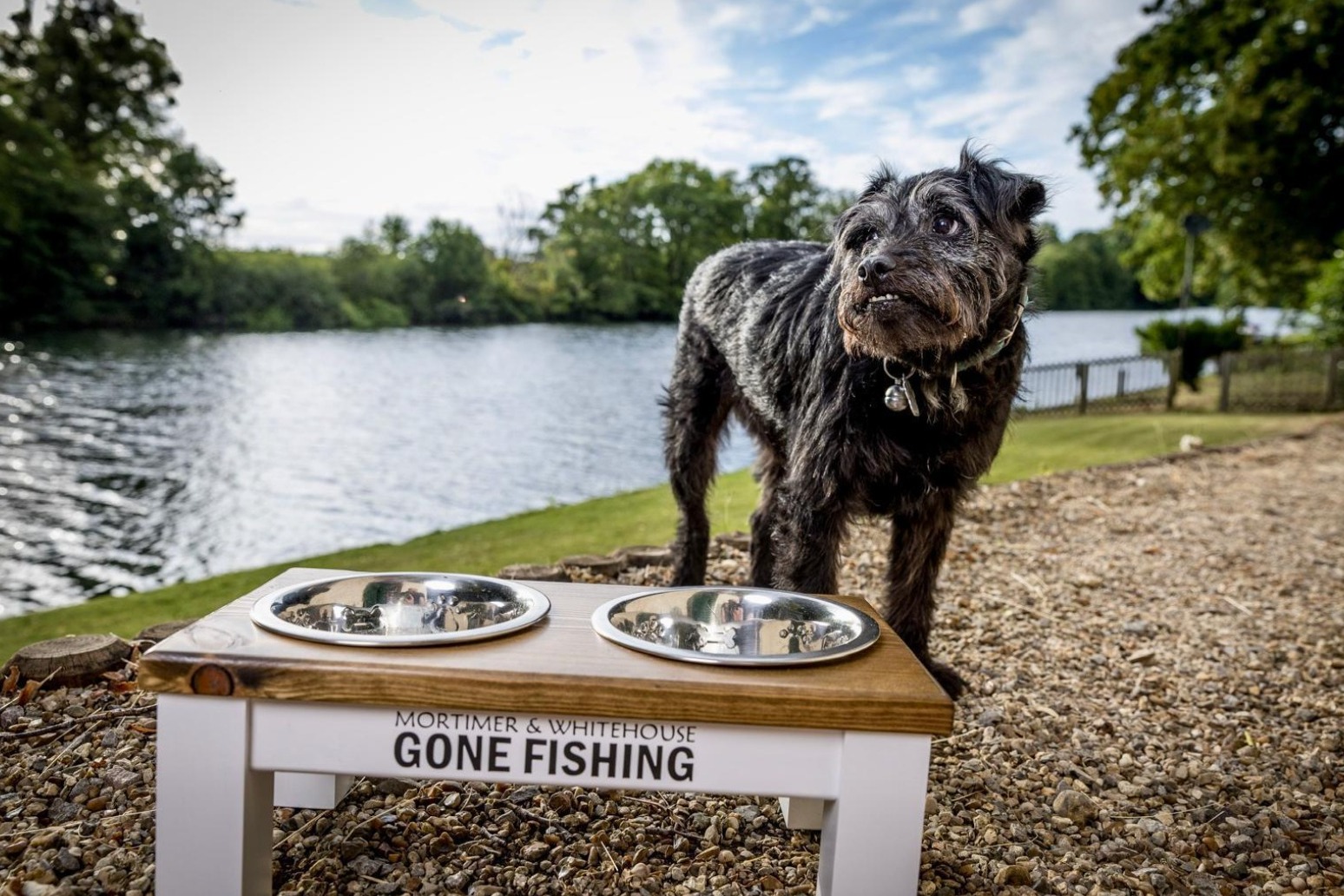 Bob Mortimer ‘very, very sad’ after death of Gone Fishing dog Ted 