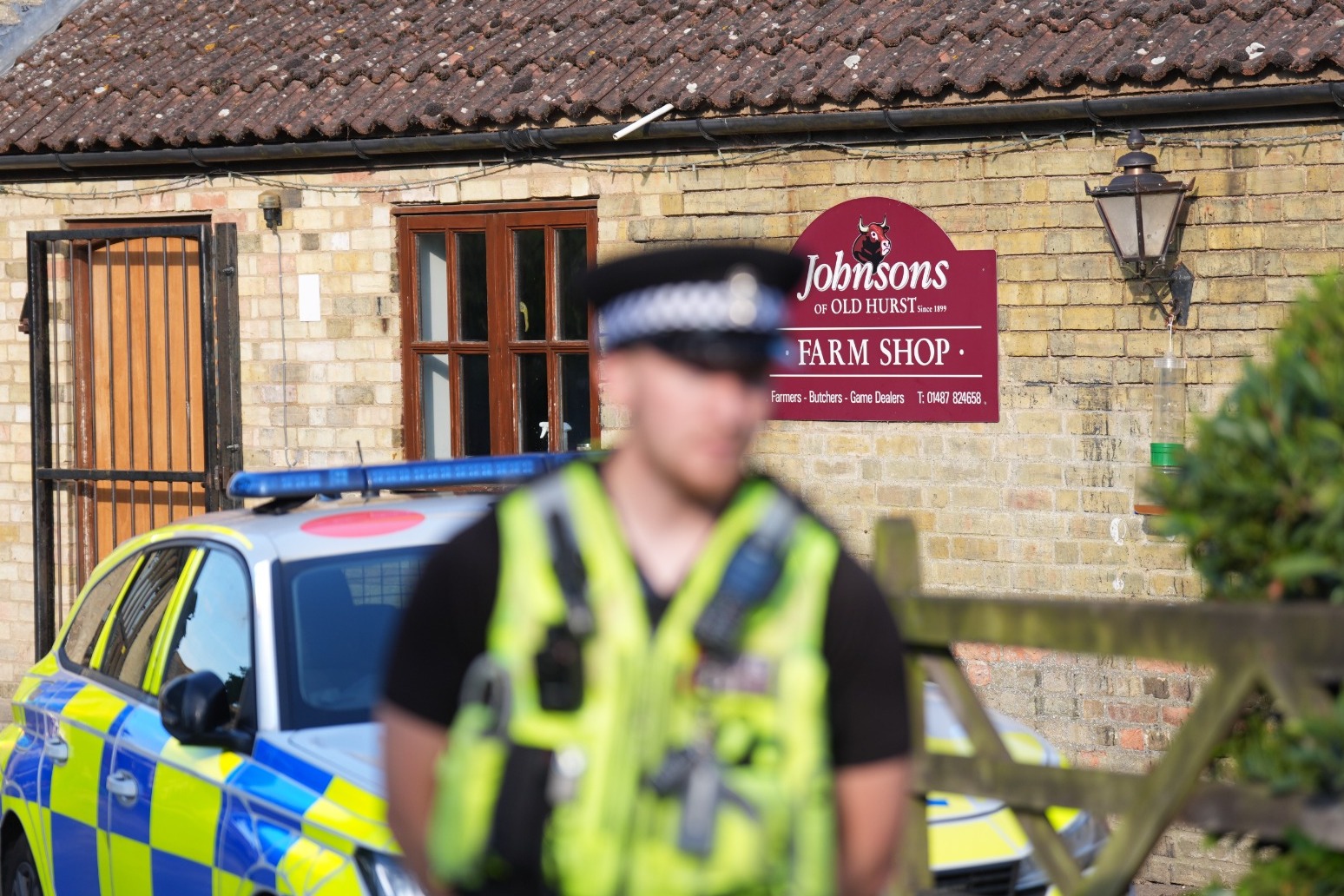 Attempted murder arrest after boy, three, ends up in crocodile enclosure at zoo