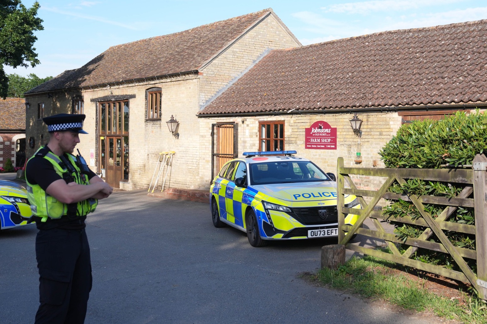 Arrested man released after boy, three, injured in crocodile enclosure at zoo