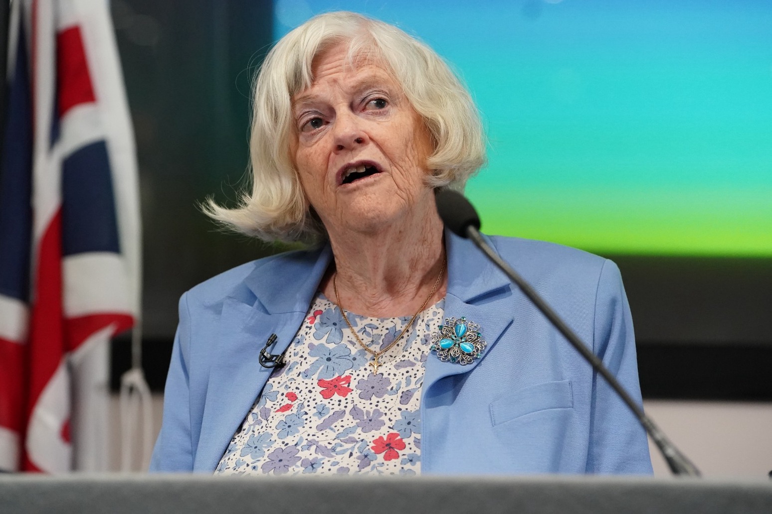 Man in court over hammer murder of Ann Widdecombe