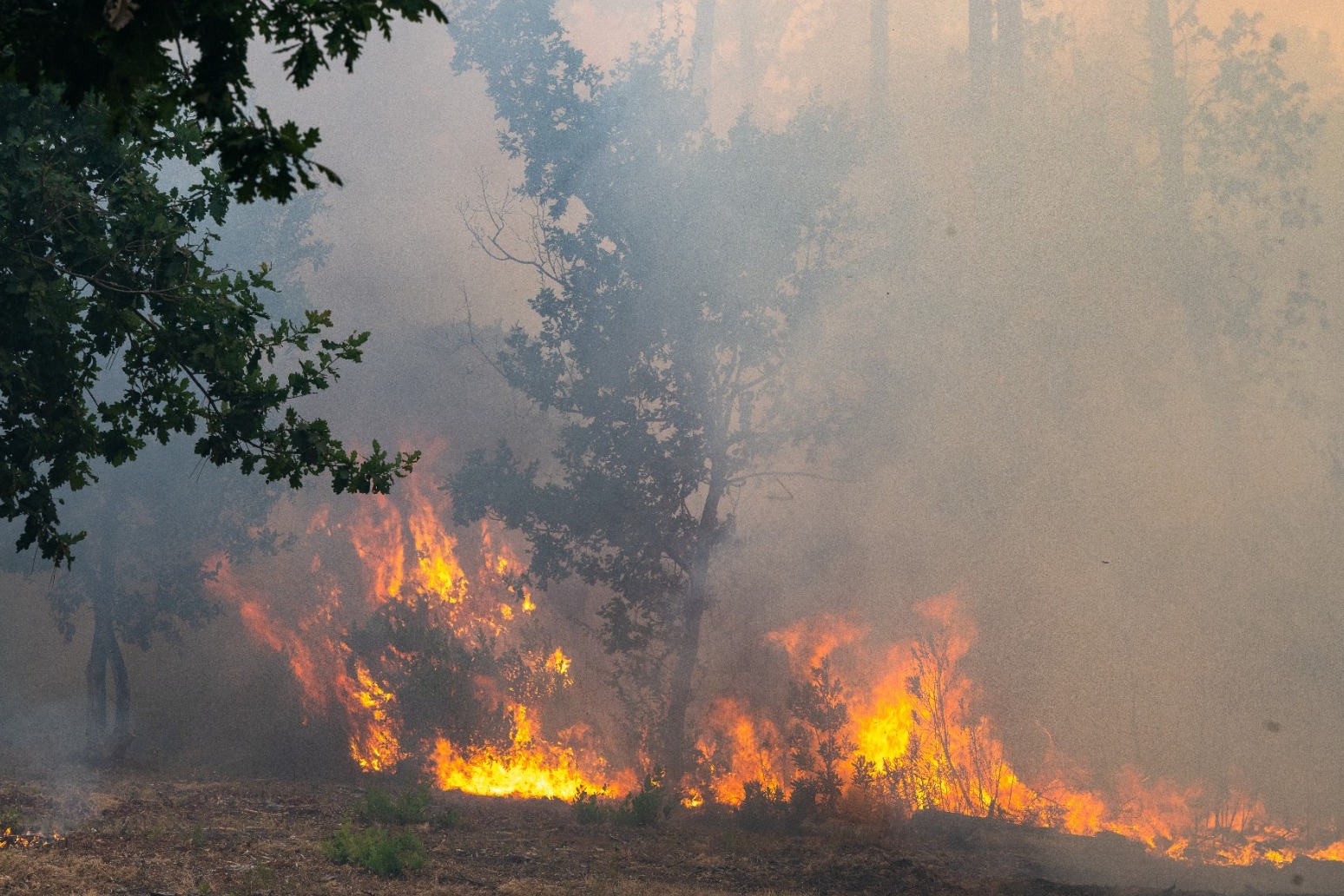 Wildfire forces evacuations of suburbs in French city of Bordeaux
