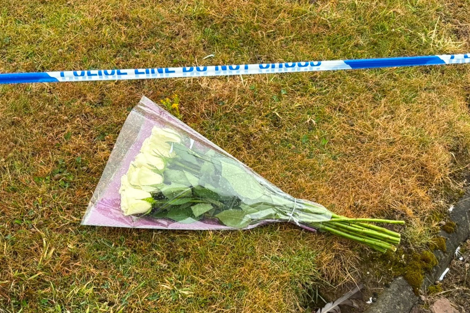 Man arrested after nine-year-old girl found injured at industrial estate dies