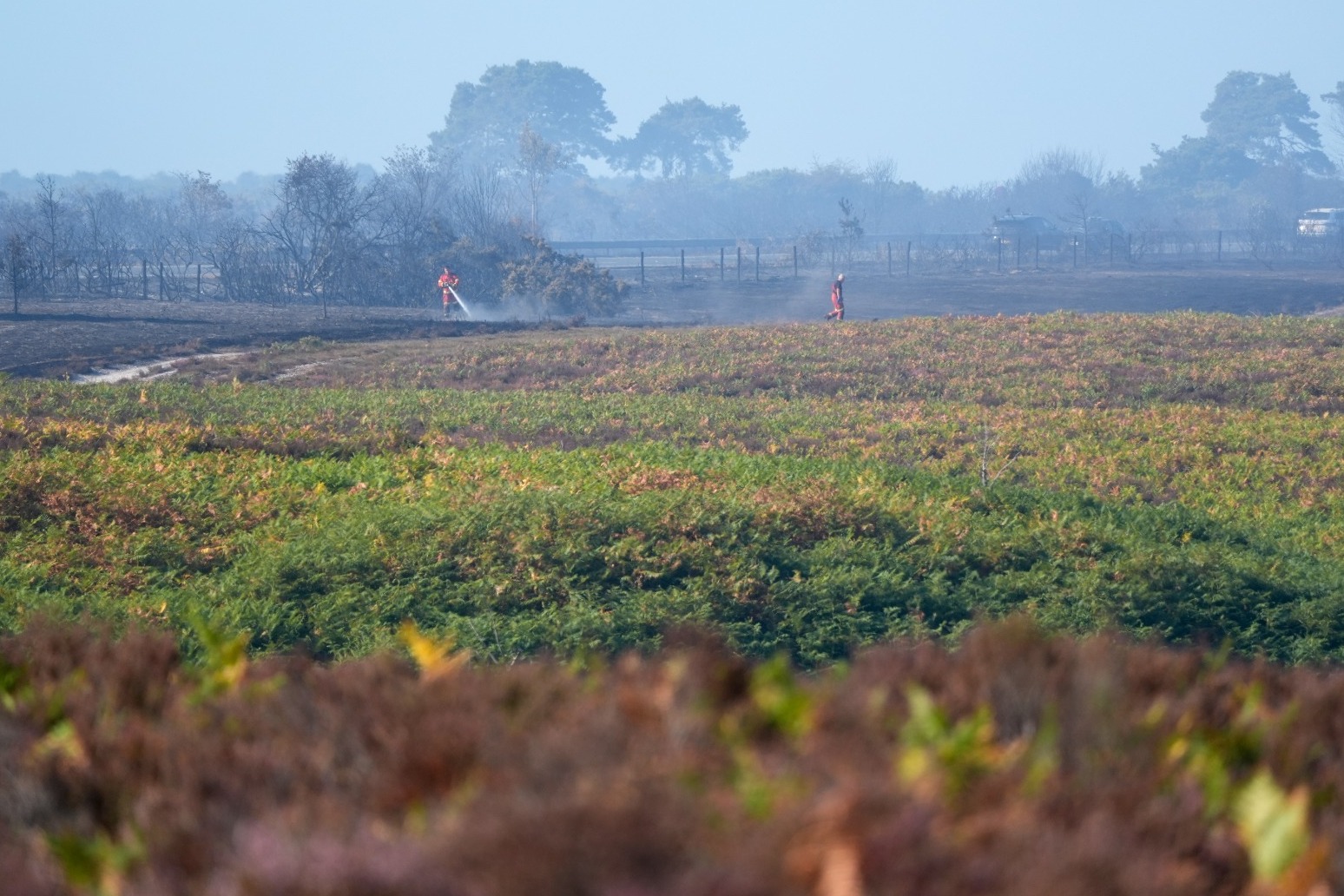 Firefighters work ‘tirelessly’ to contain New Forest fire