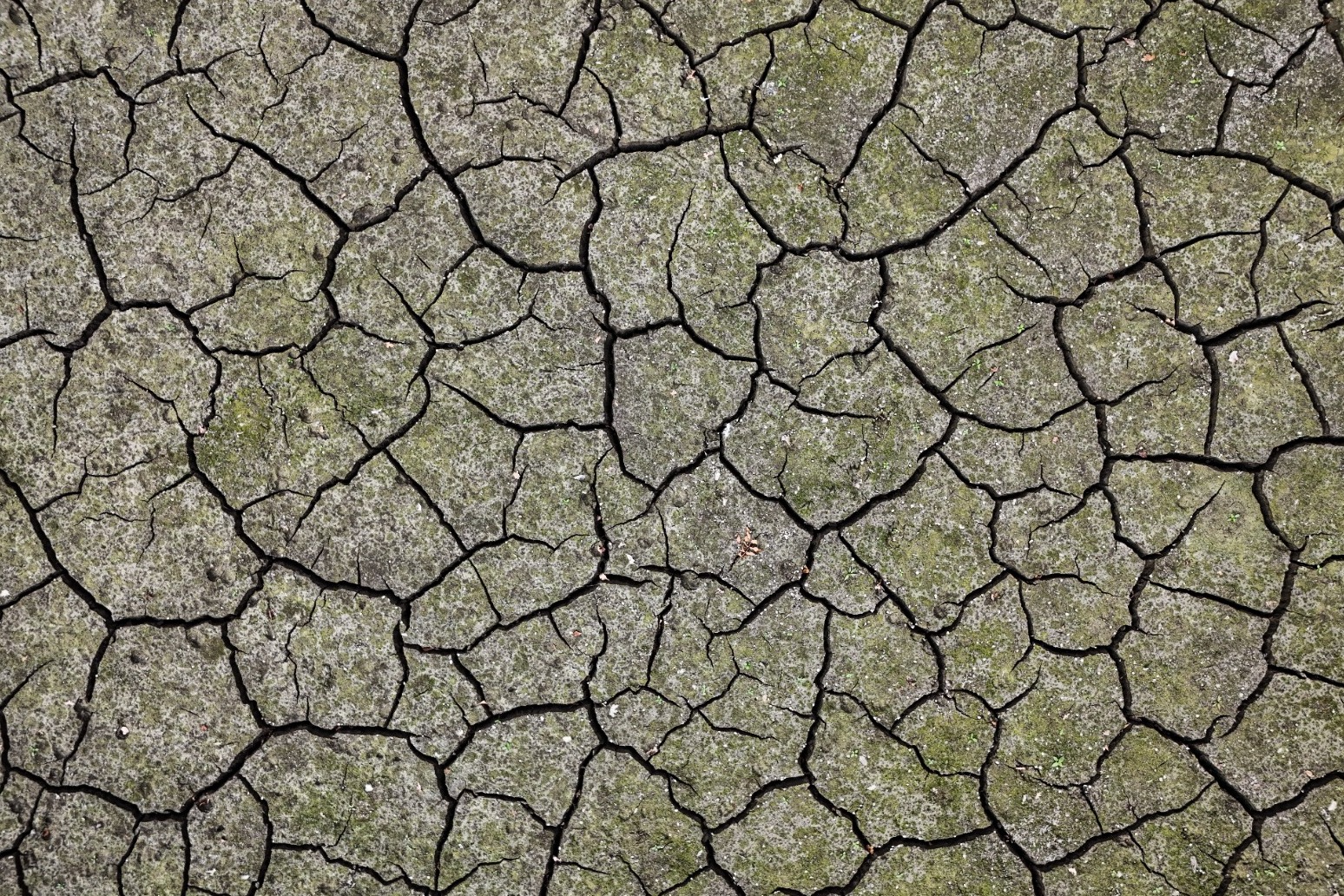 Drought declared in Yorkshire amid low reservoir and river levels