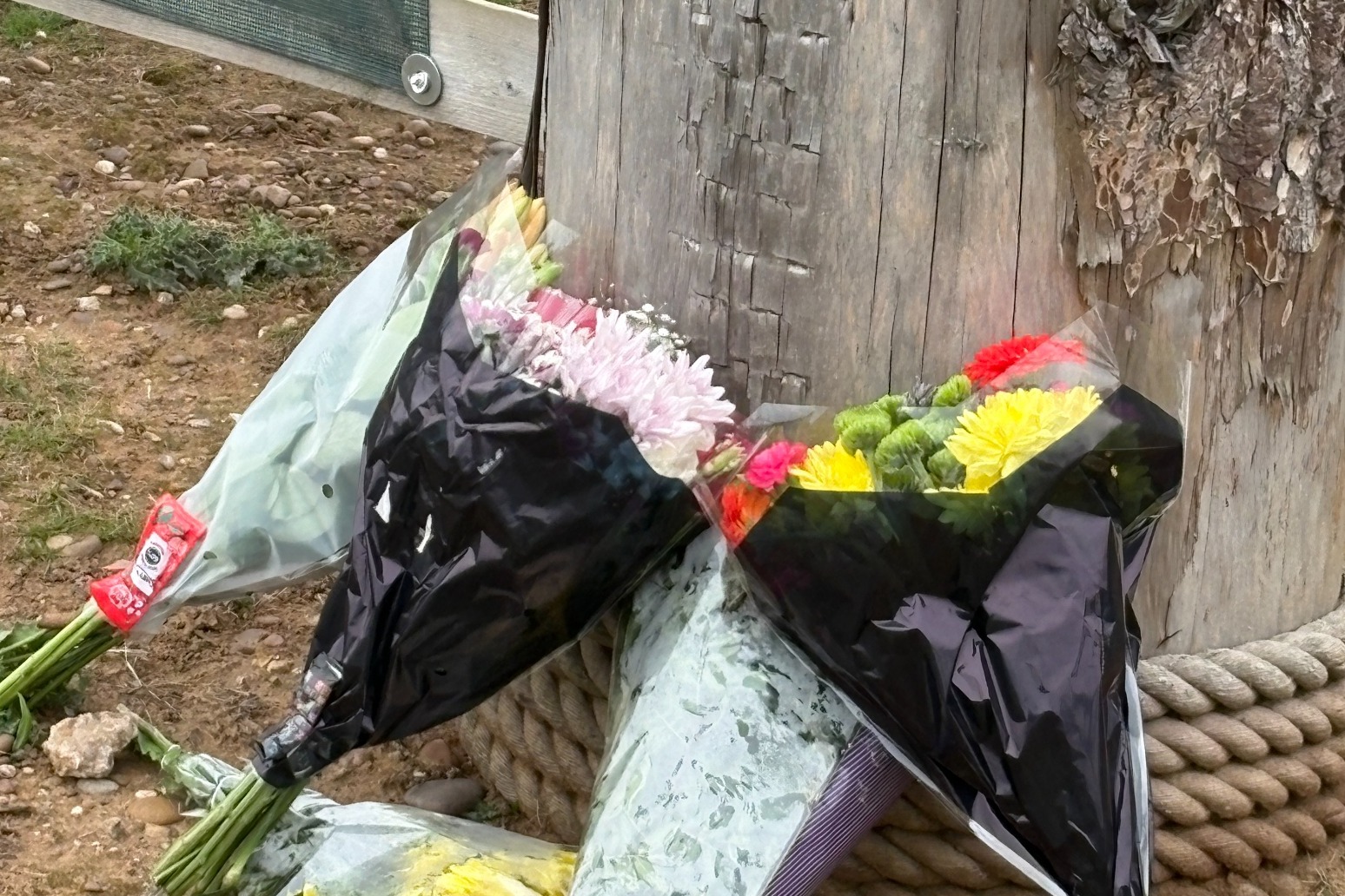 Resident criticises reaction to death of man in wildlife park tiger enclosure