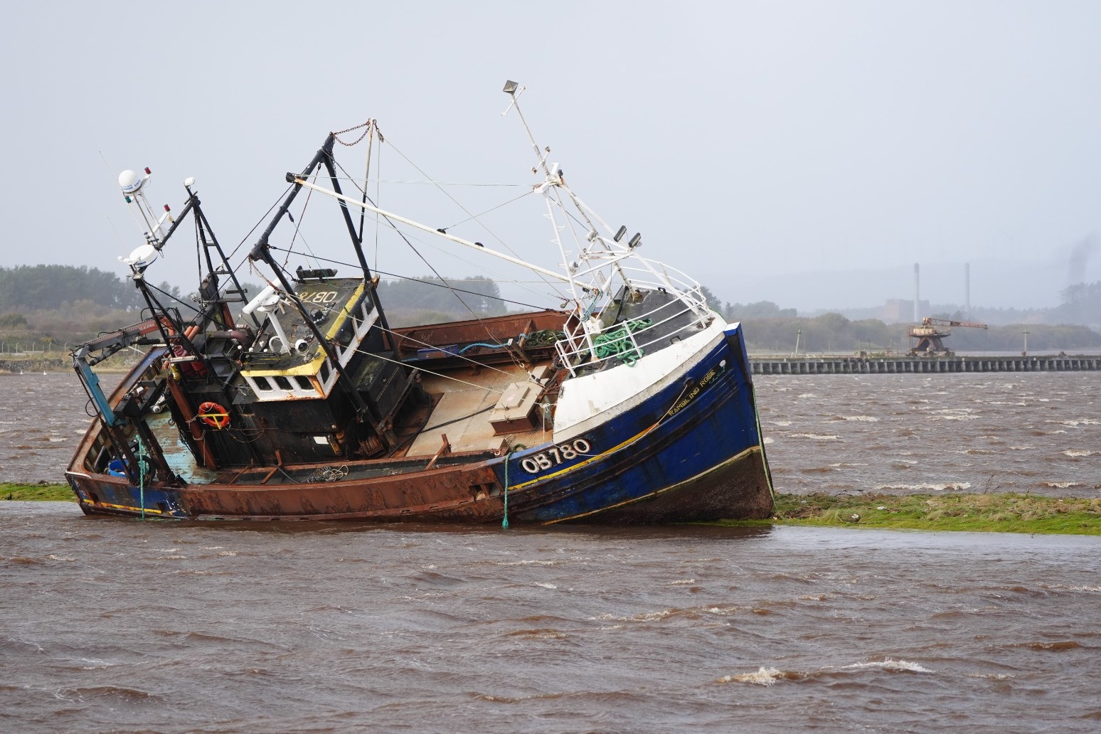 Man killed by falling tree in Storm Boelo