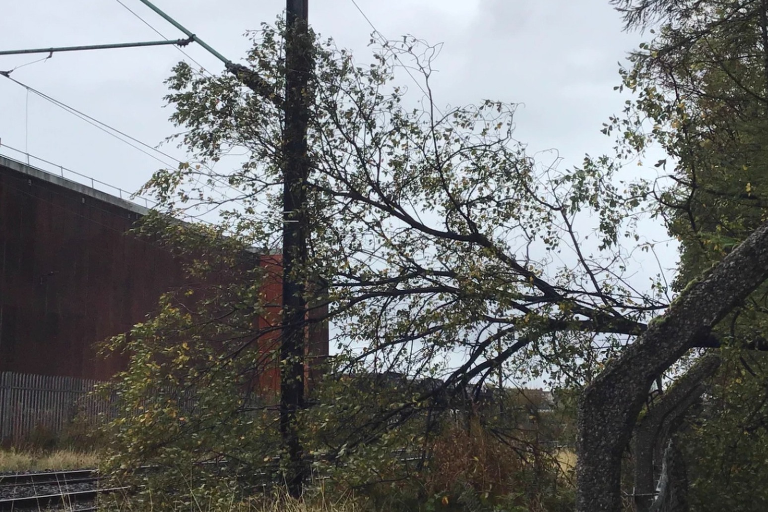 Schools shut and travel disruption as windy weather sweeps Scotland after storm