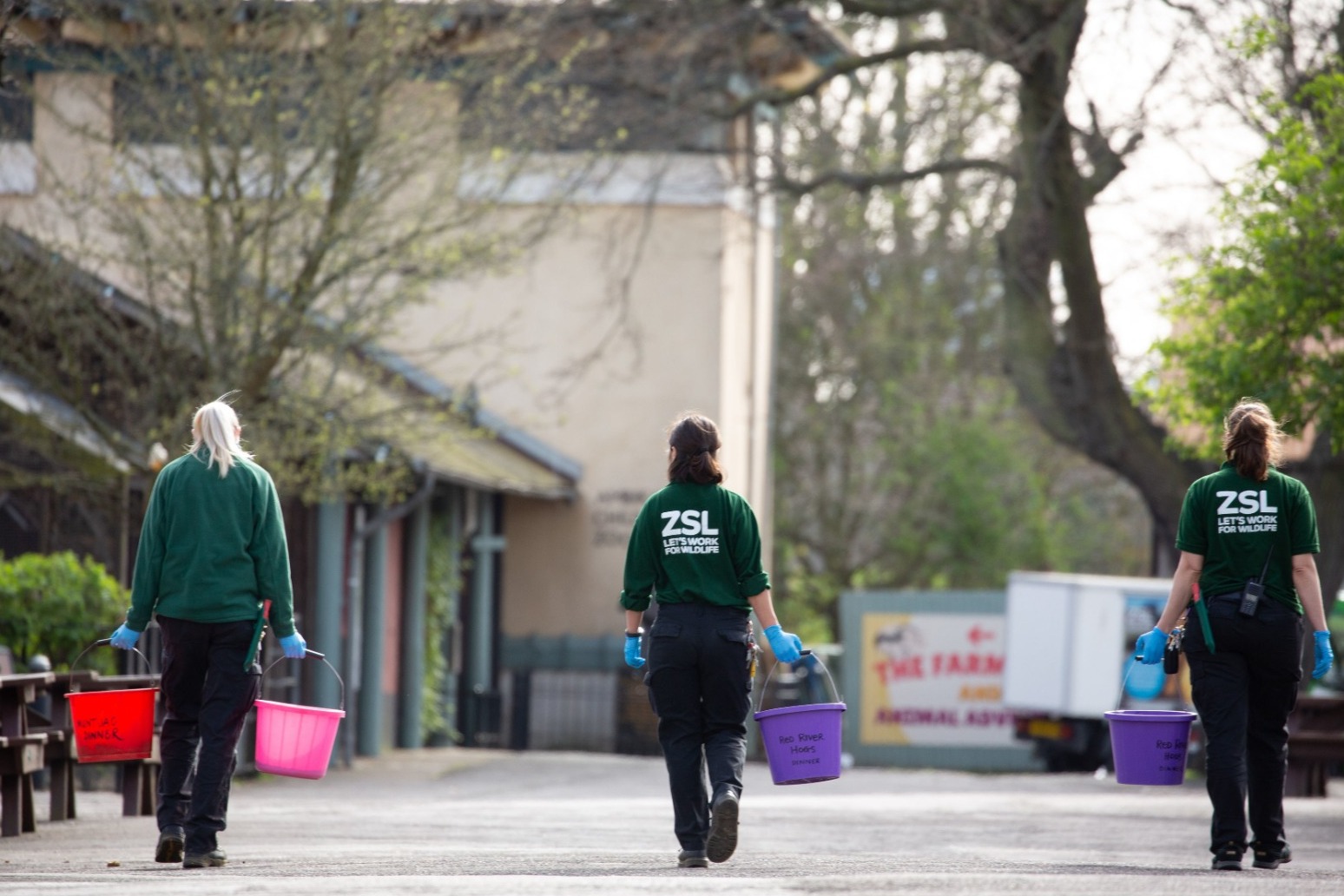 Warning over \'perilous future\' for London Zoo in face of lockdown 