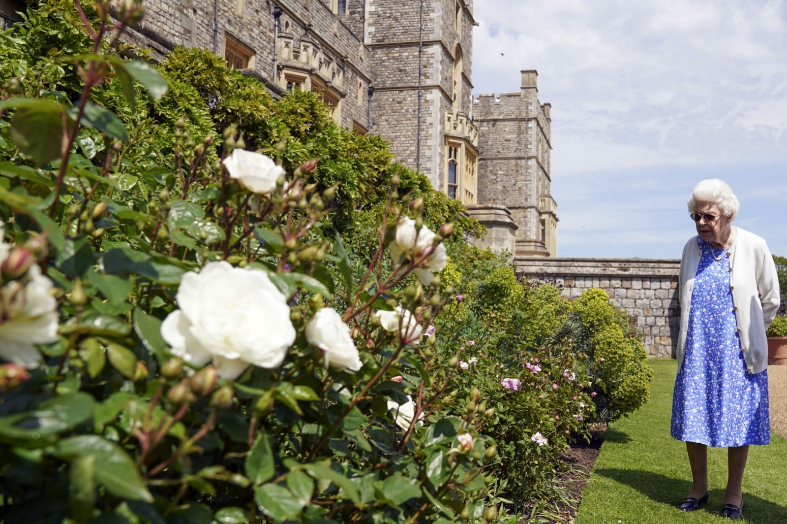 Queen marks Philip’s 100th birthday by planting rose named after him 