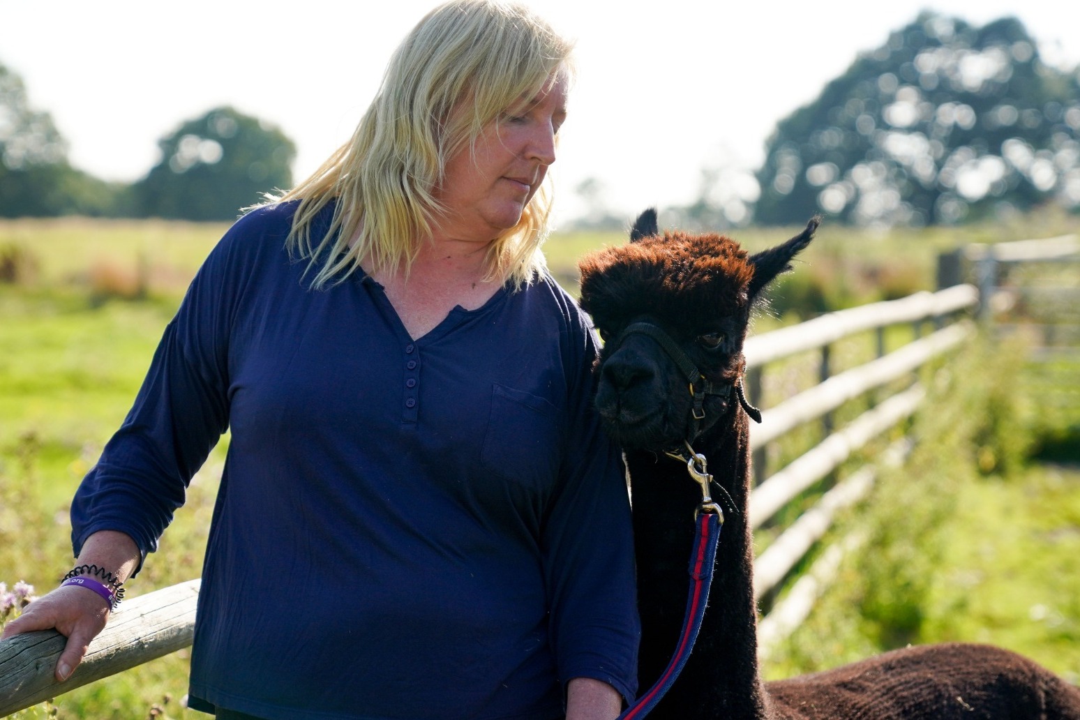 Owner of condemned alpaca Geronimo vows to ‘fight on’ 