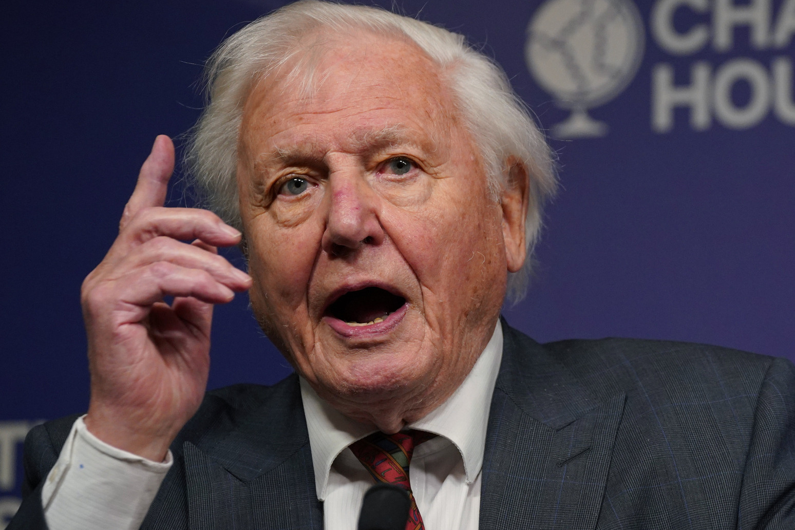 Sir David Attenborough: Act on climate now or it will be too late 