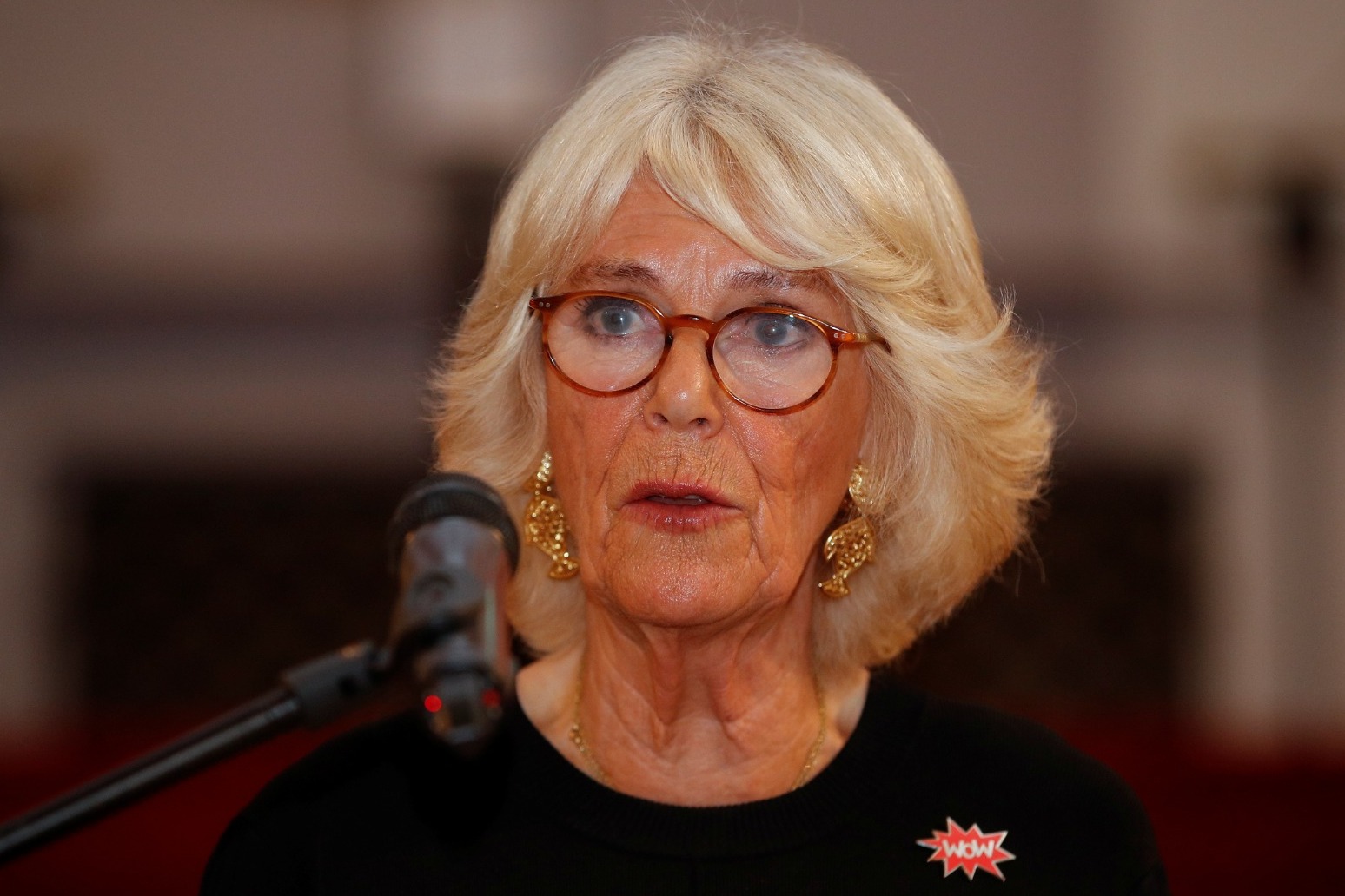 Camilla pays tribute to women whose lives have been ‘brutally ended’ 