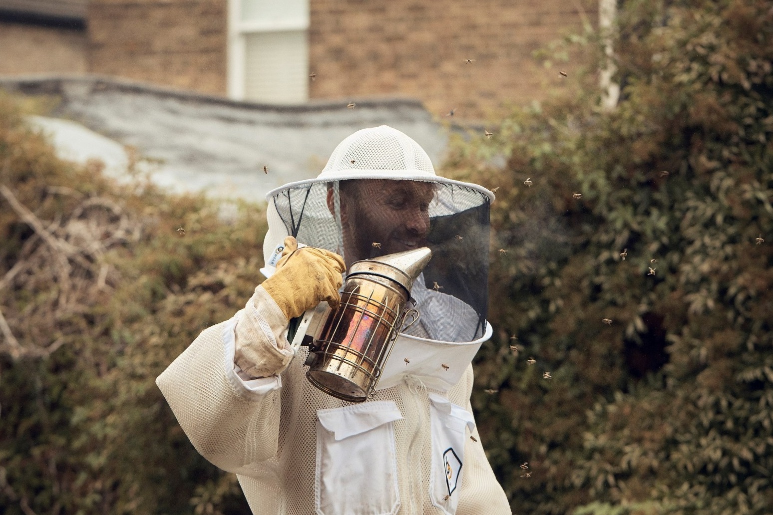 Beekeeping ‘breaks connection with trauma’ for refugees, says charity founded 