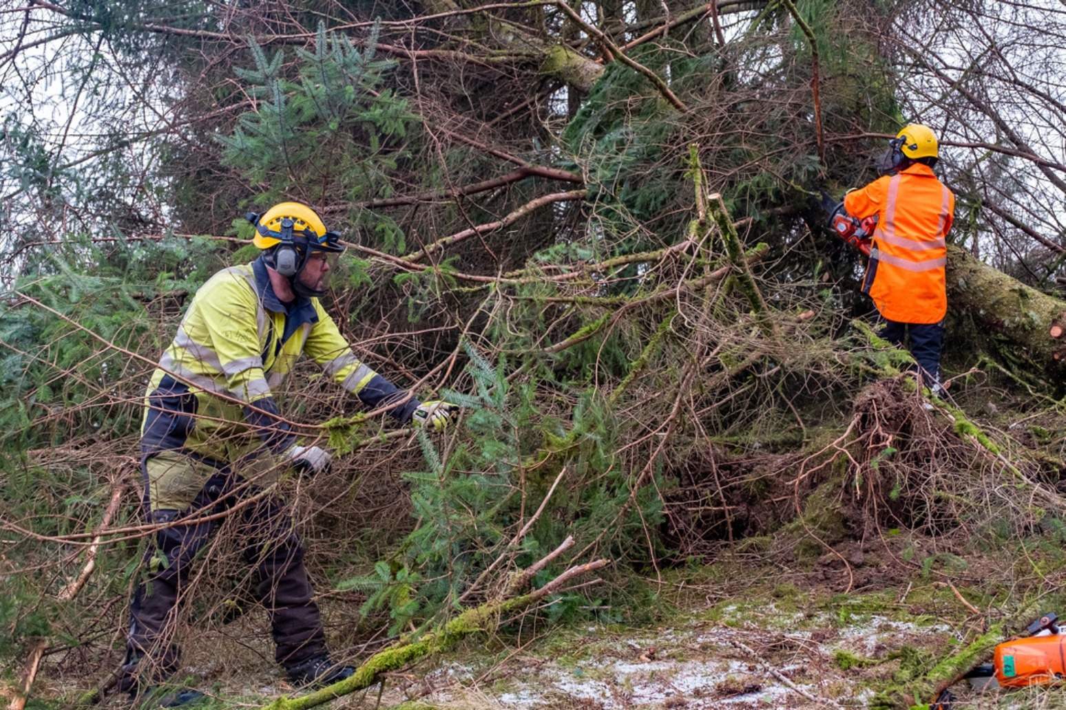 Power firms provided ‘unacceptable service’ to some after Storm Arwen – watchdog 