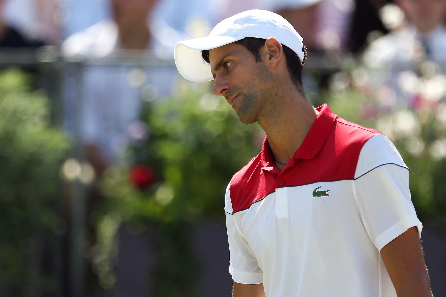 Novak Djokovic’s Australian visa cancelled by country’s Immigration Minister 
