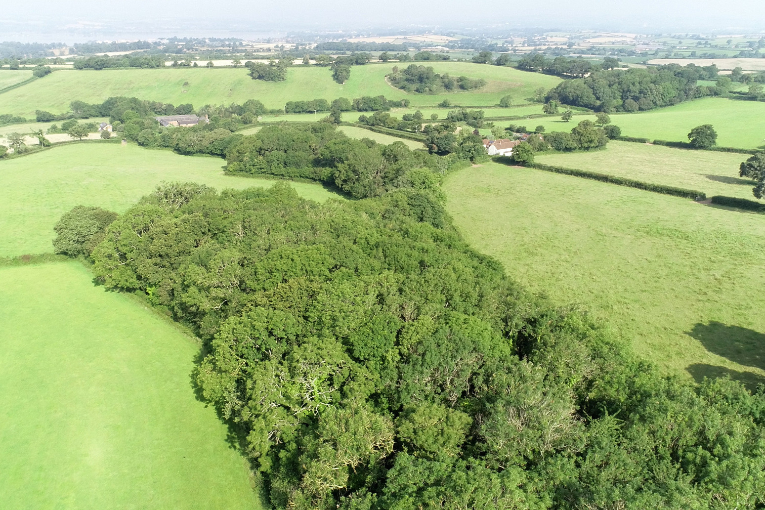 Public urged to help £2.5m bid to turn Devon site into woodland wildlife haven 