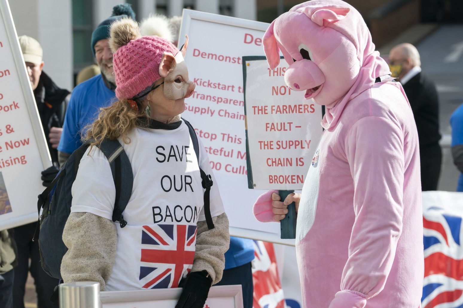 Summit held to address ‘desperate’ crisis facing pig industry 