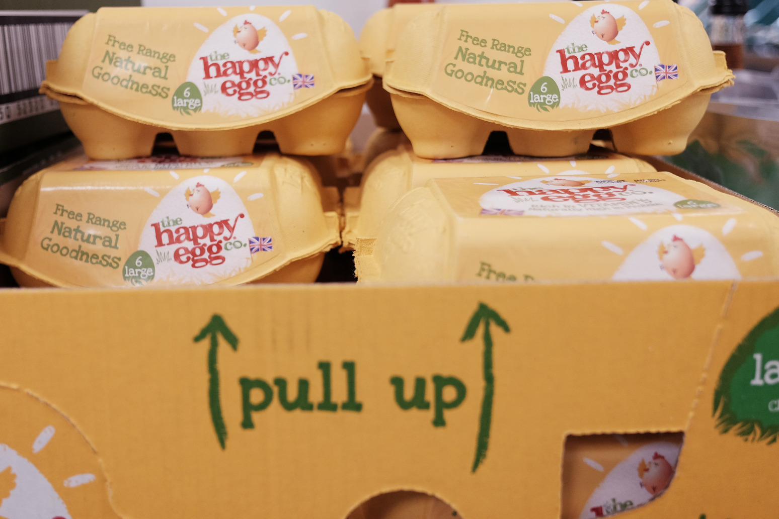 Free range eggs no longer available in UK due to bird flu 