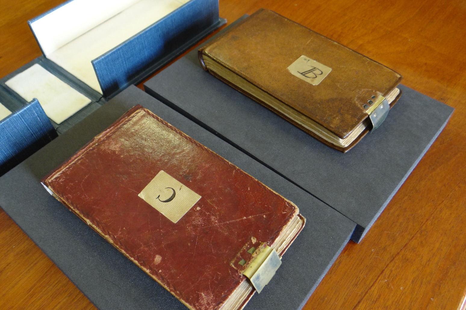 ‘Stolen’ Darwin manuscripts anonymously returned to university library 