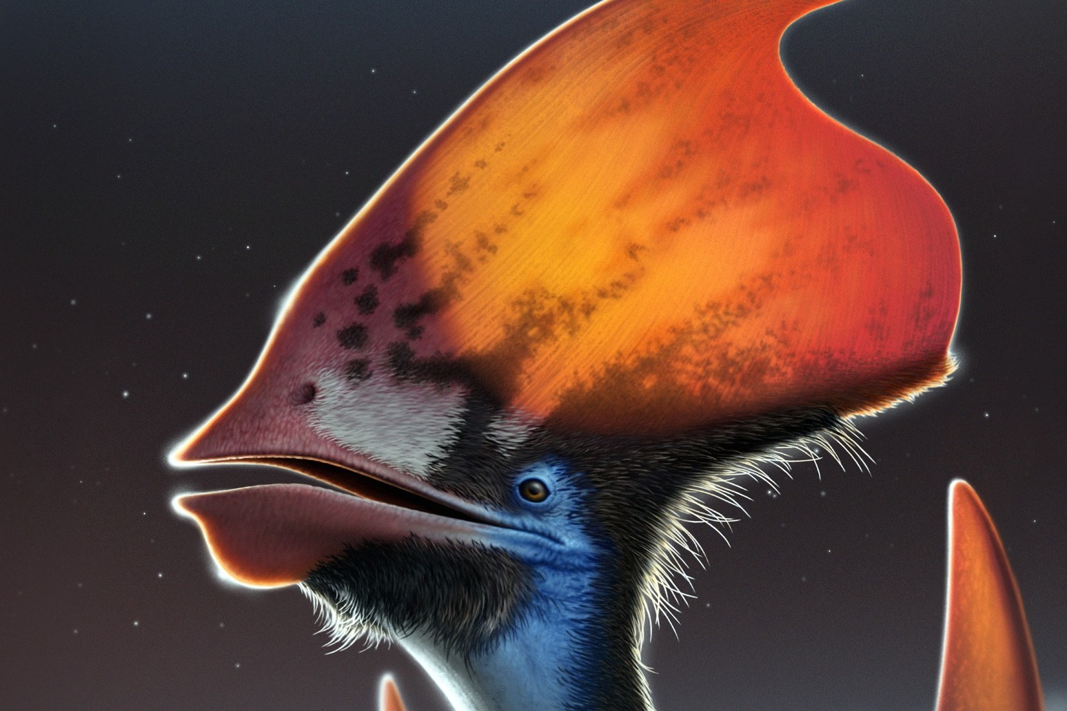 Palaeontologists solve pterosaur feather mystery 