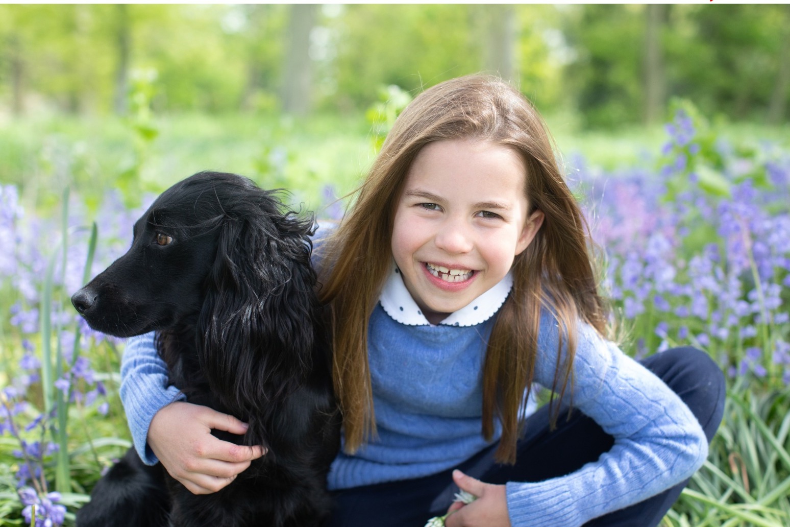 Picture released of Princess Charlotte and pet dog Orla to mark seventh birthday 