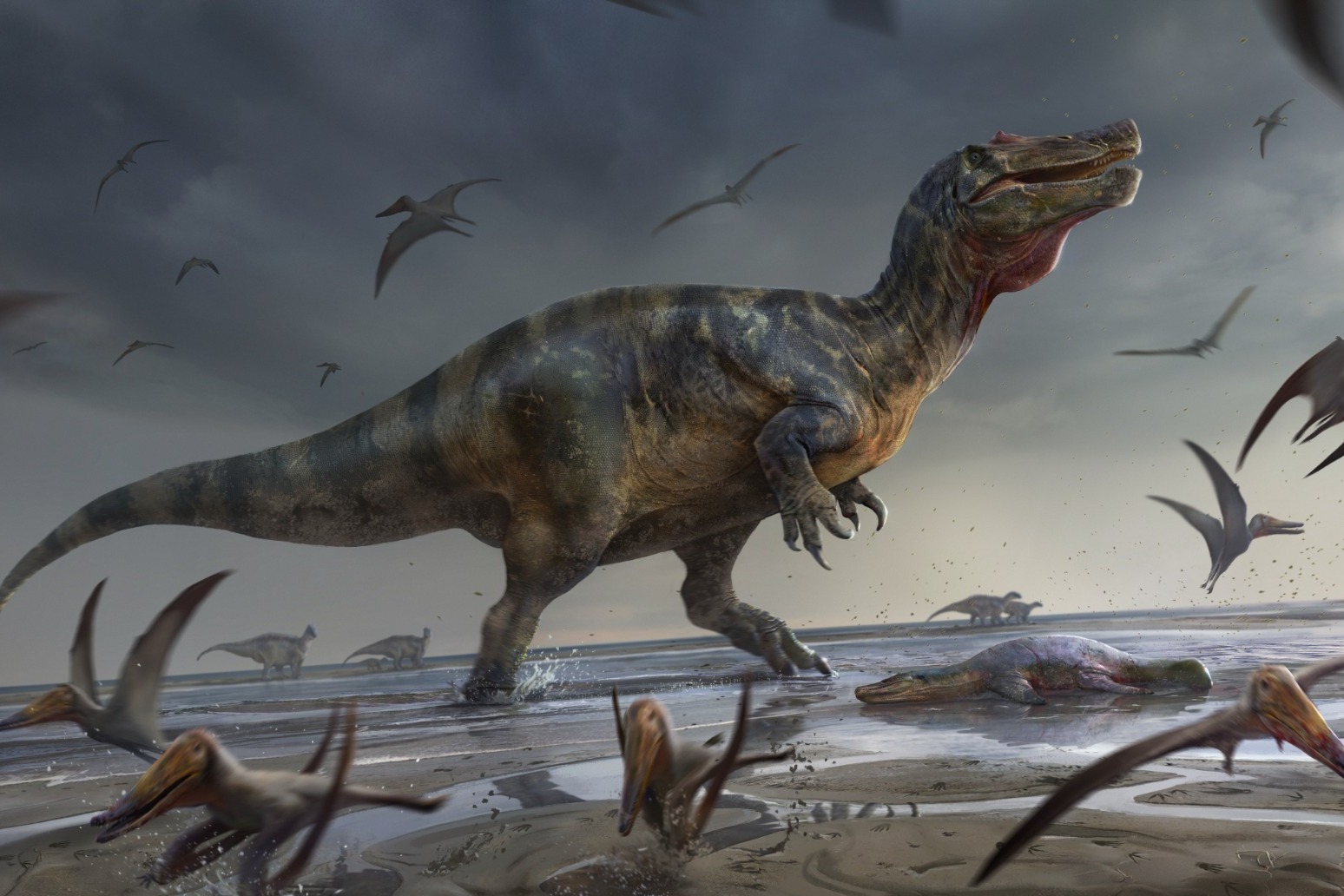 Remains of Europe’s largest ever land predator dinosaur found on Isle of Wight 