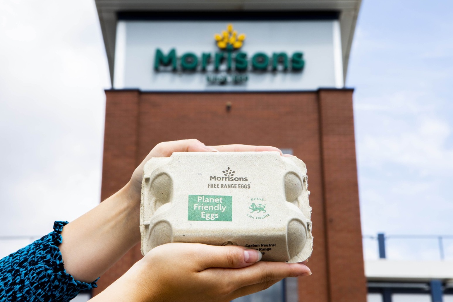 Morrisons launches carbon neutral eggs from hens fed insects instead of soya