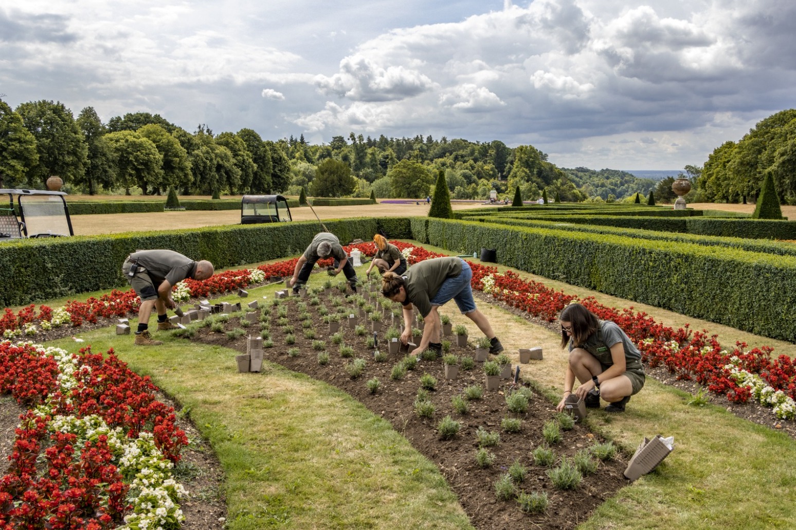 National Trust: Hot, dry conditions hitting wildlife, landscapes and gardens 