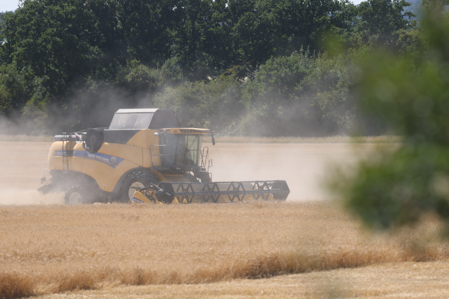 Pay farmers to restore habitat on least productive farmland 