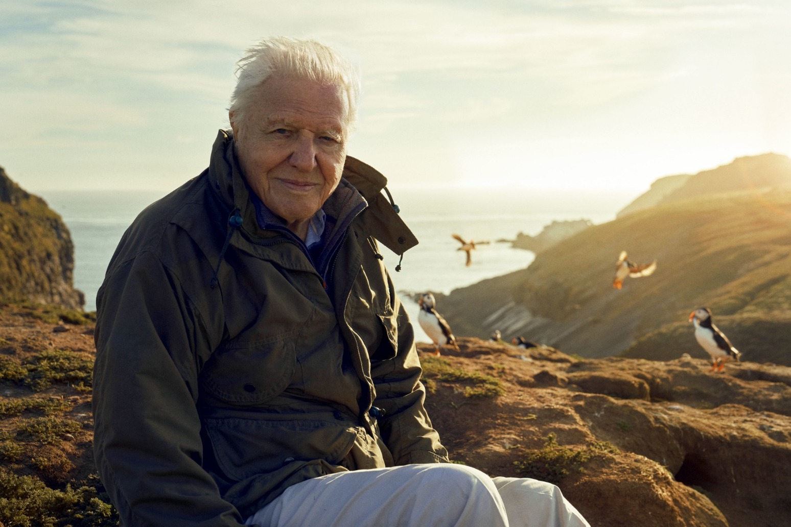 Sir David Attenborough to present BBC series focusing on the British Isles 