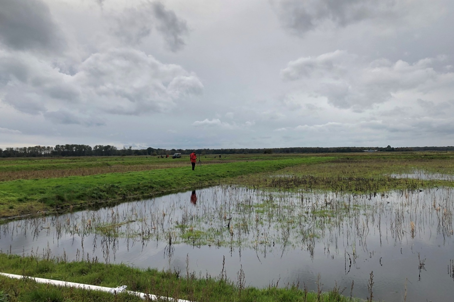 Amateur gardeners to be banned from using peat-based compost 