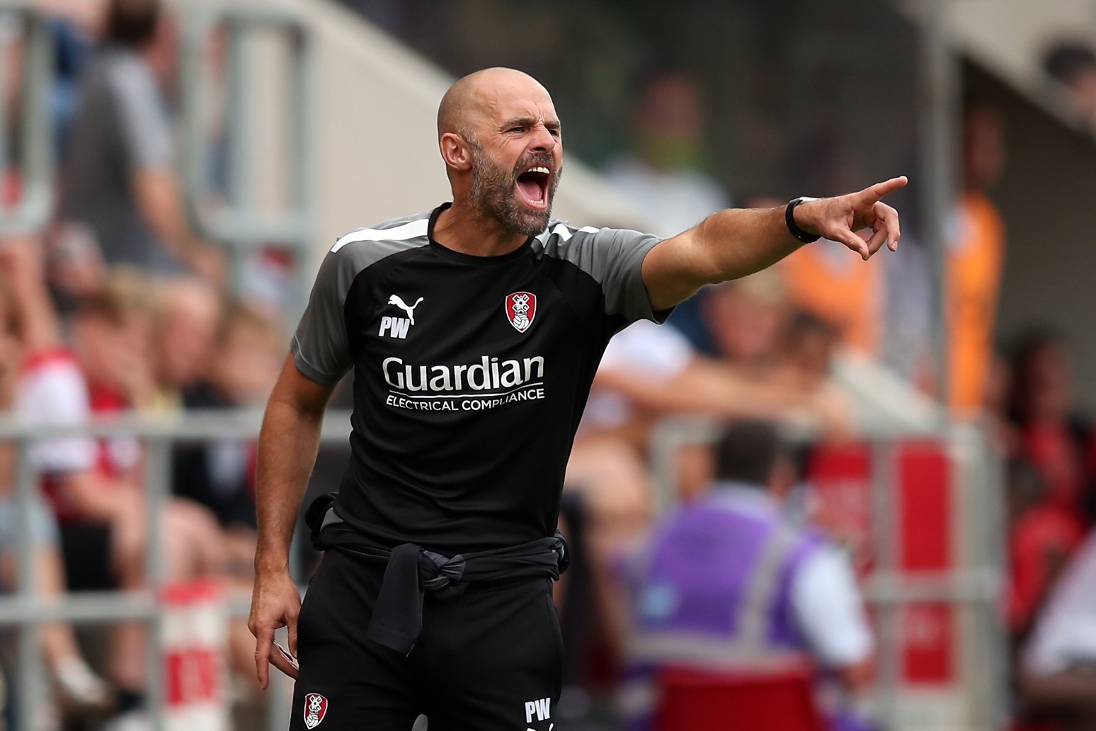 Derby appoint Paul Warne as manager 