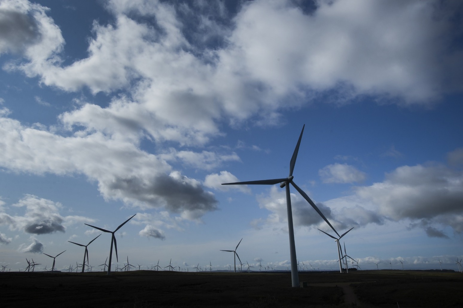 Public backs wind and solar farms to reduce energy bills, poll suggests 