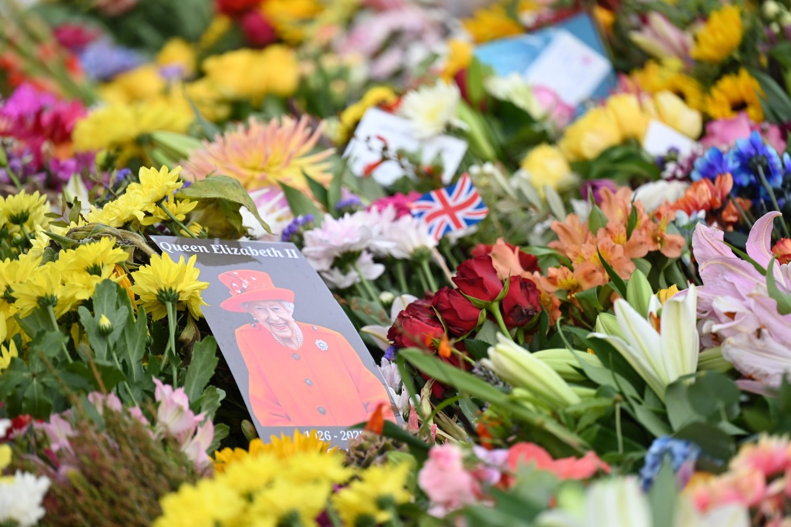 Florists assure mourners they will ‘absolutely cope’ with demand 
