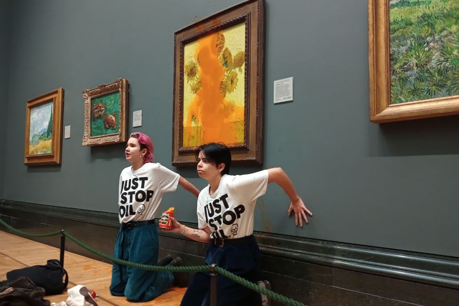 Three climate activists appear in court after soup thrown over Van Gogh painting 