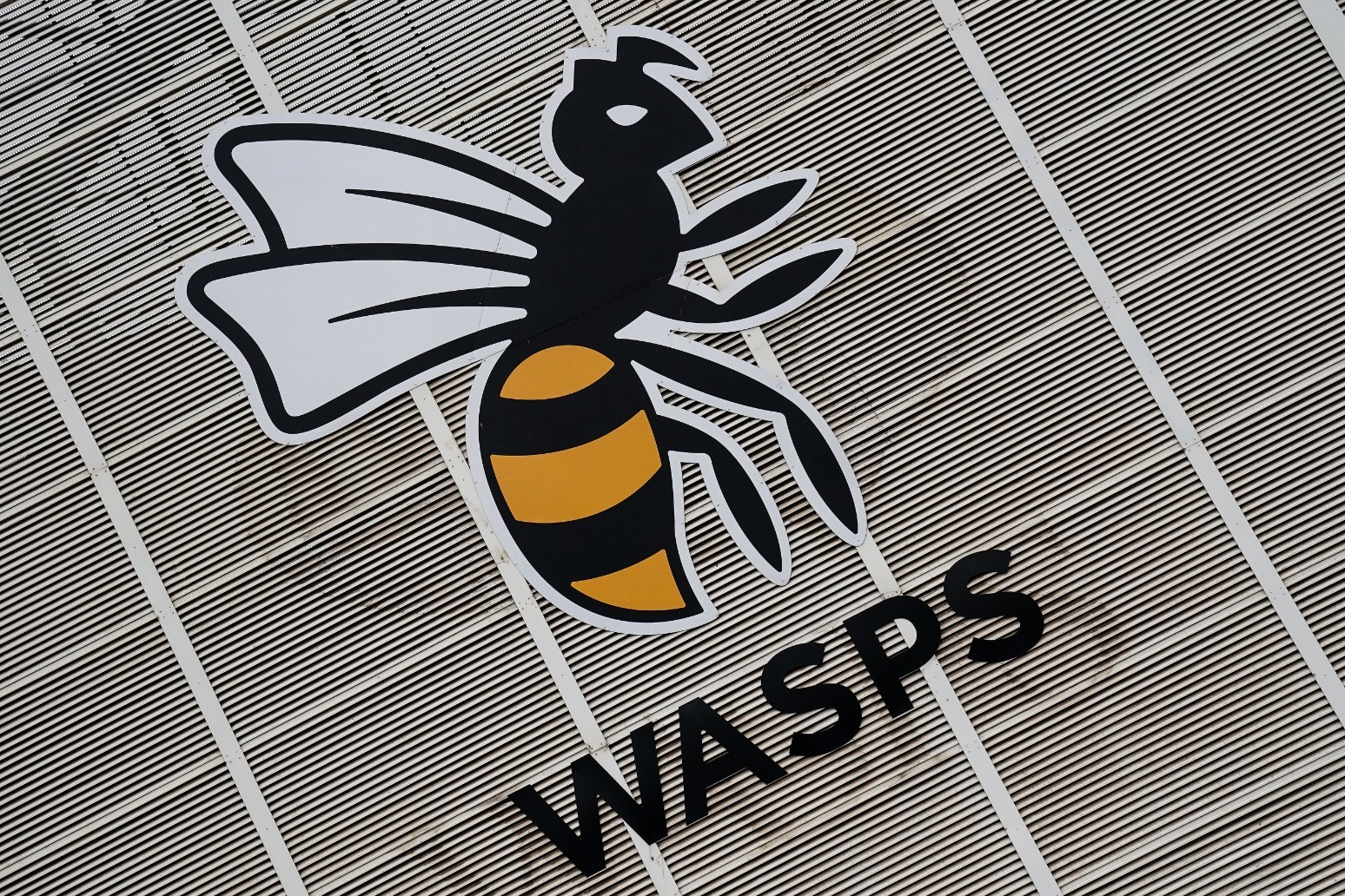 Wasps placed into administration as holding company ceases trading 