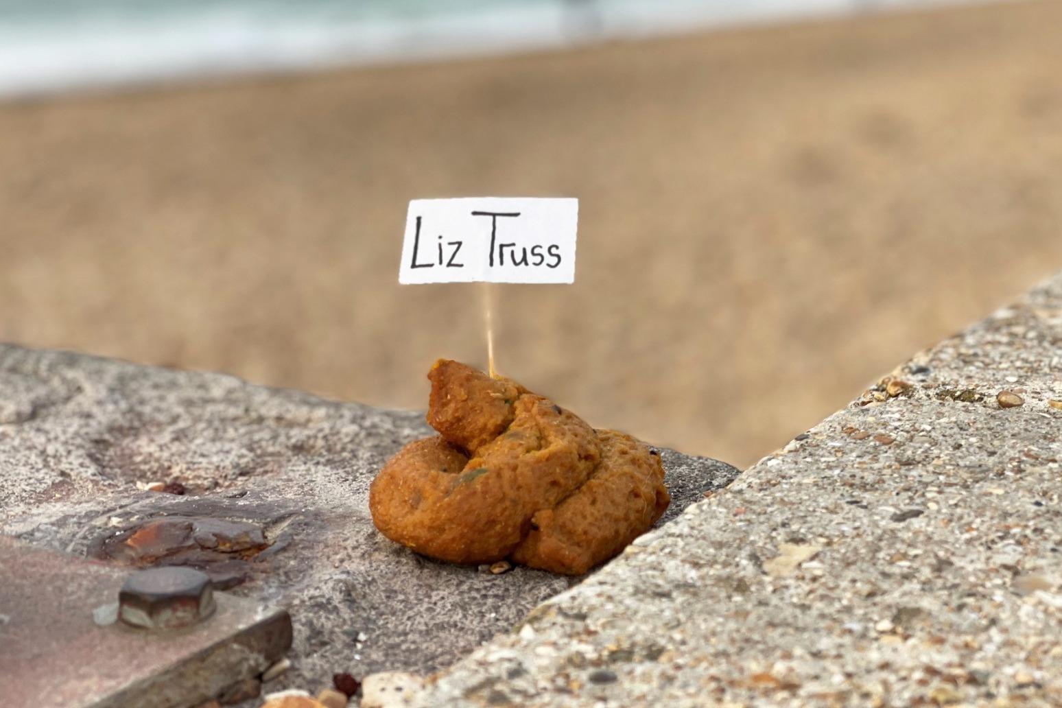 Protest pong: Street artist’s mucky campaign against Liz Truss is fake poos 